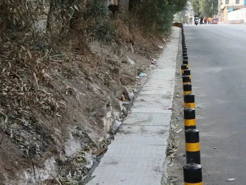 澳门六合彩开奖结果走势图