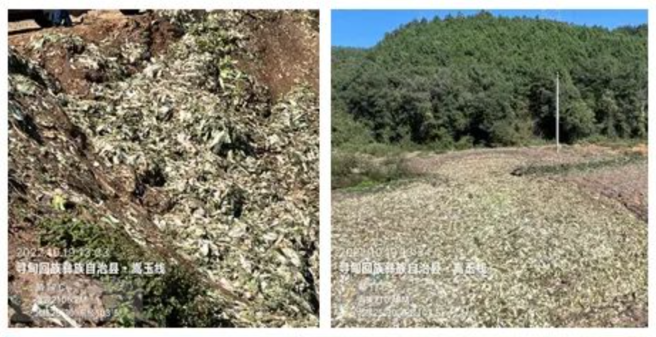 澳门六合彩开奖结果走势图