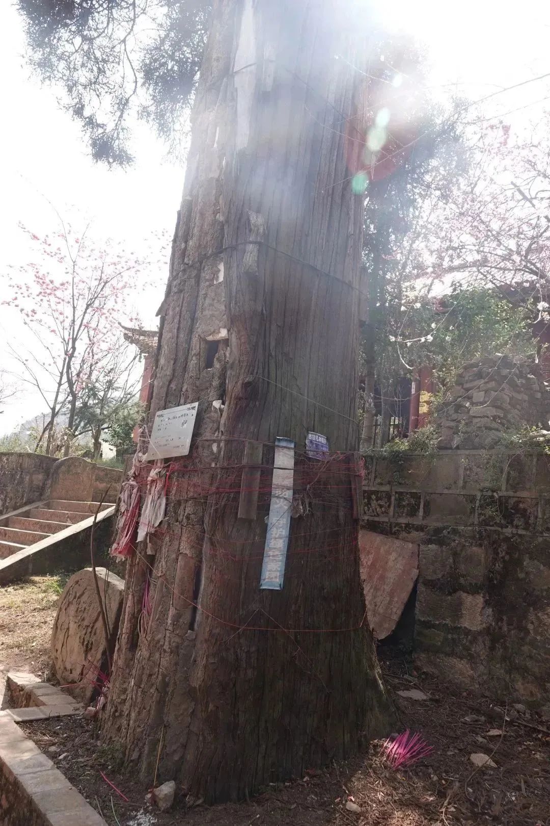 澳门六合彩开奖结果走势图