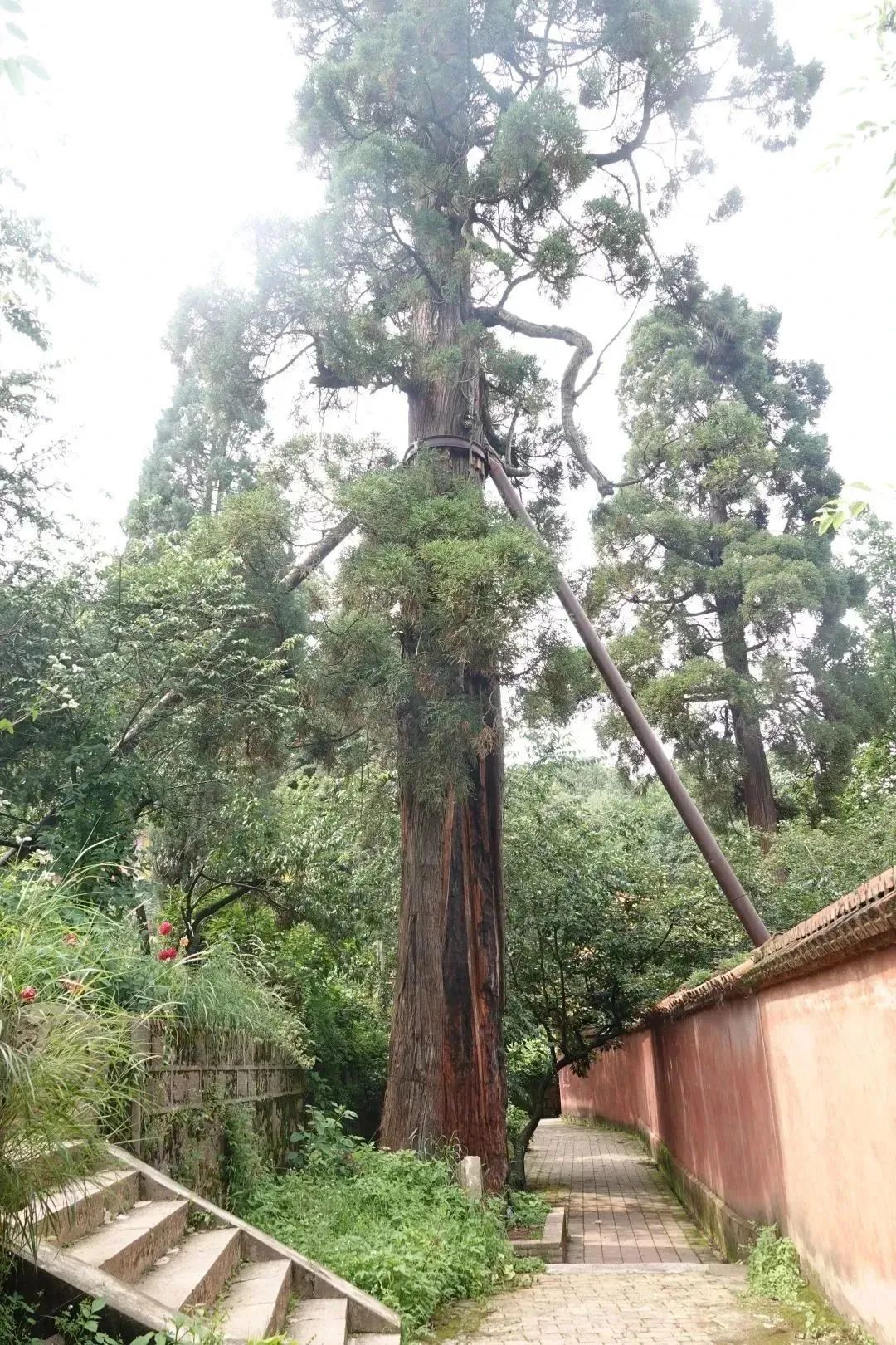 澳门六合彩开奖结果走势图