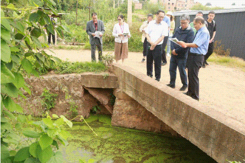 澳门六合彩开奖结果走势图