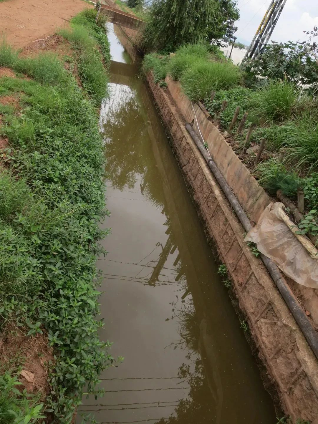 澳门六合彩开奖结果走势图