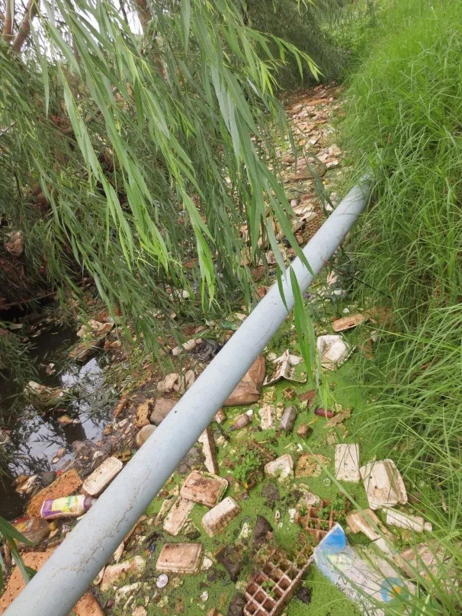 澳门六合彩开奖结果走势图