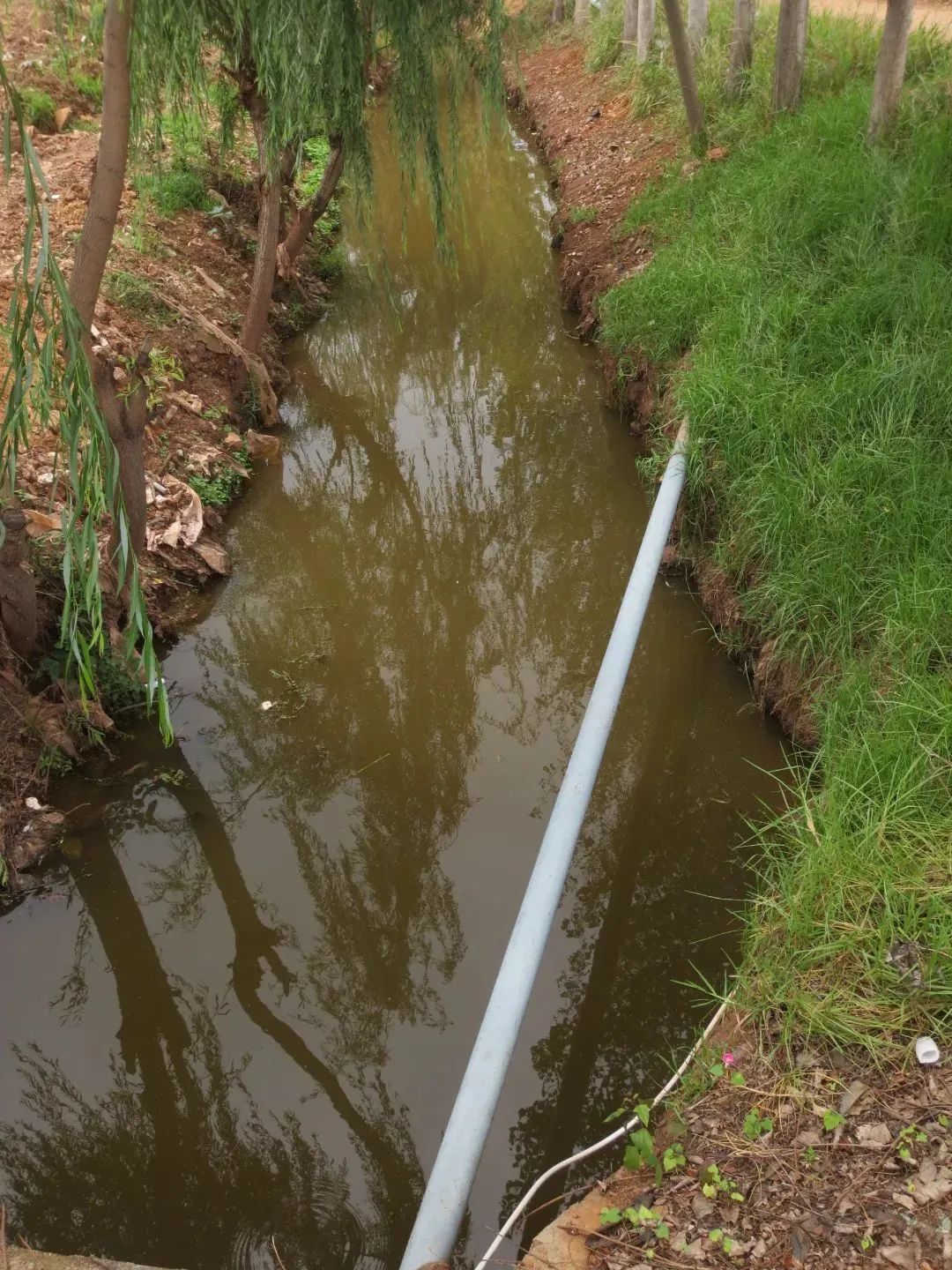 澳门六合彩开奖结果走势图