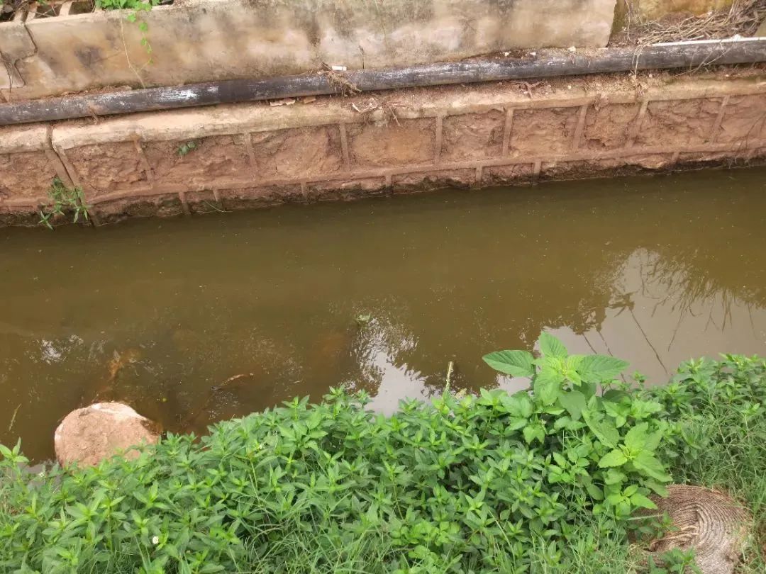 澳门六合彩开奖结果走势图