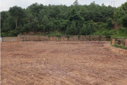 澳门六合彩开奖结果走势图