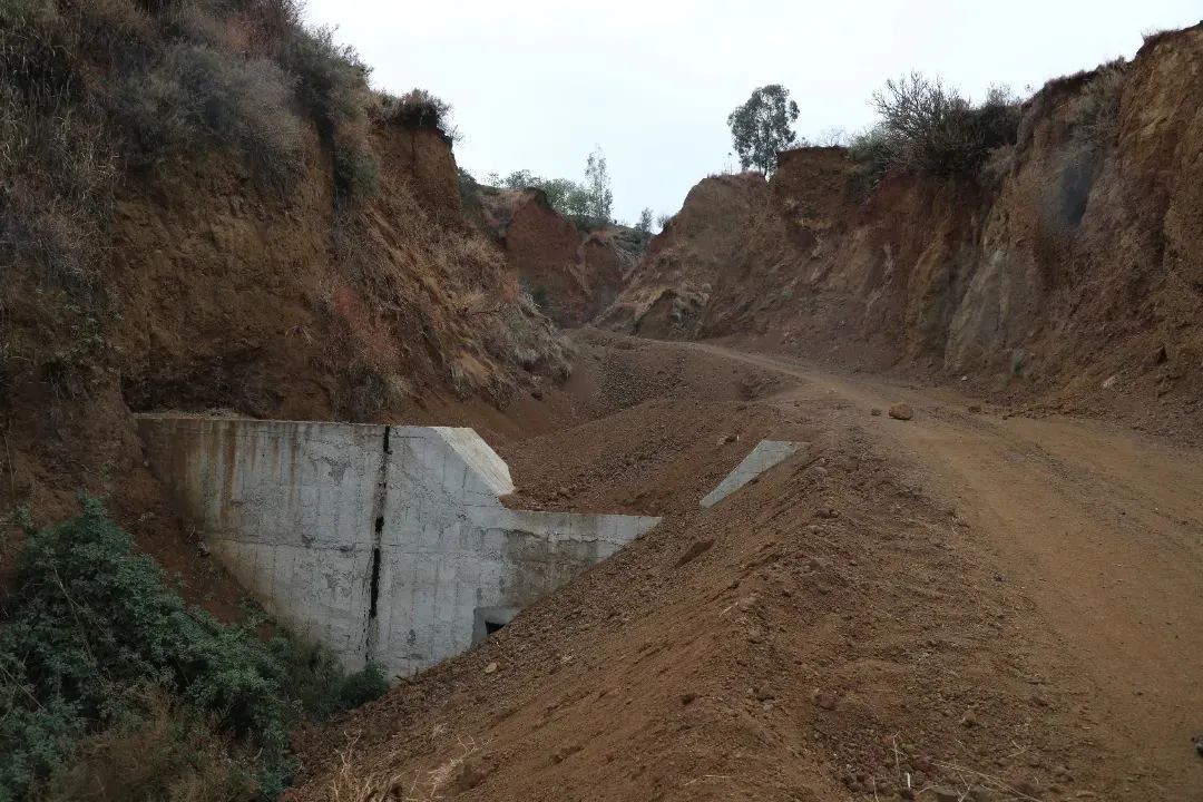 澳门六合彩开奖结果走势图