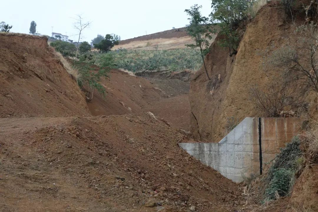 澳门六合彩开奖结果走势图