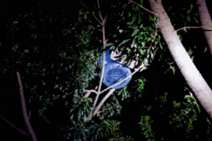 澳门六合彩开奖结果走势图