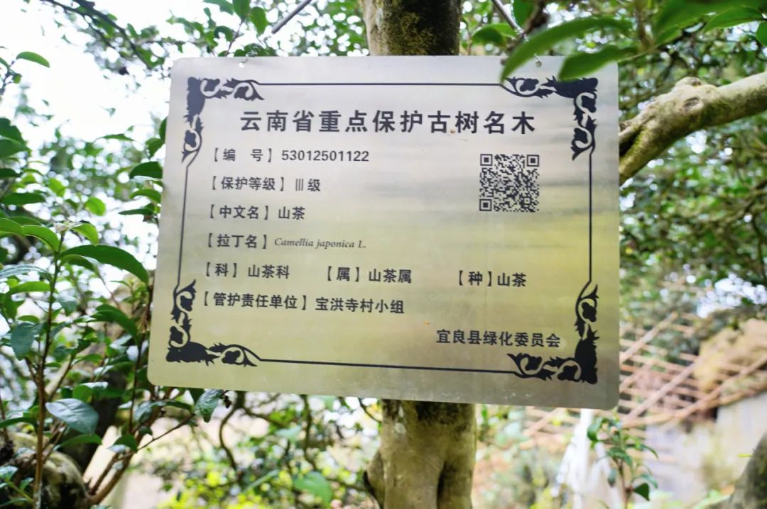 澳门六合彩开奖结果走势图