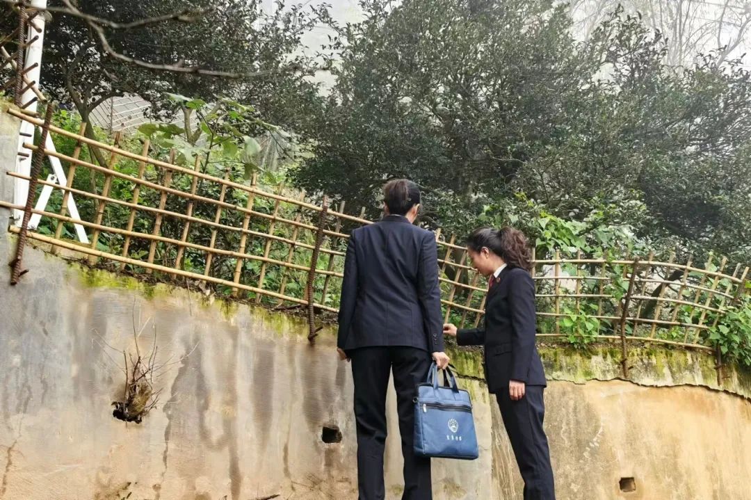 澳门六合彩开奖结果走势图