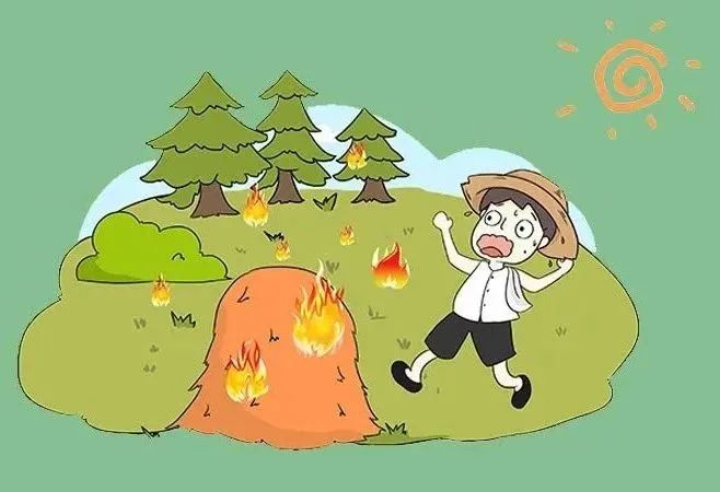 澳门六合彩开奖结果走势图