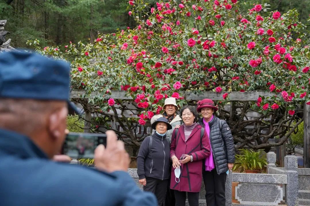澳门六合彩开奖结果走势图