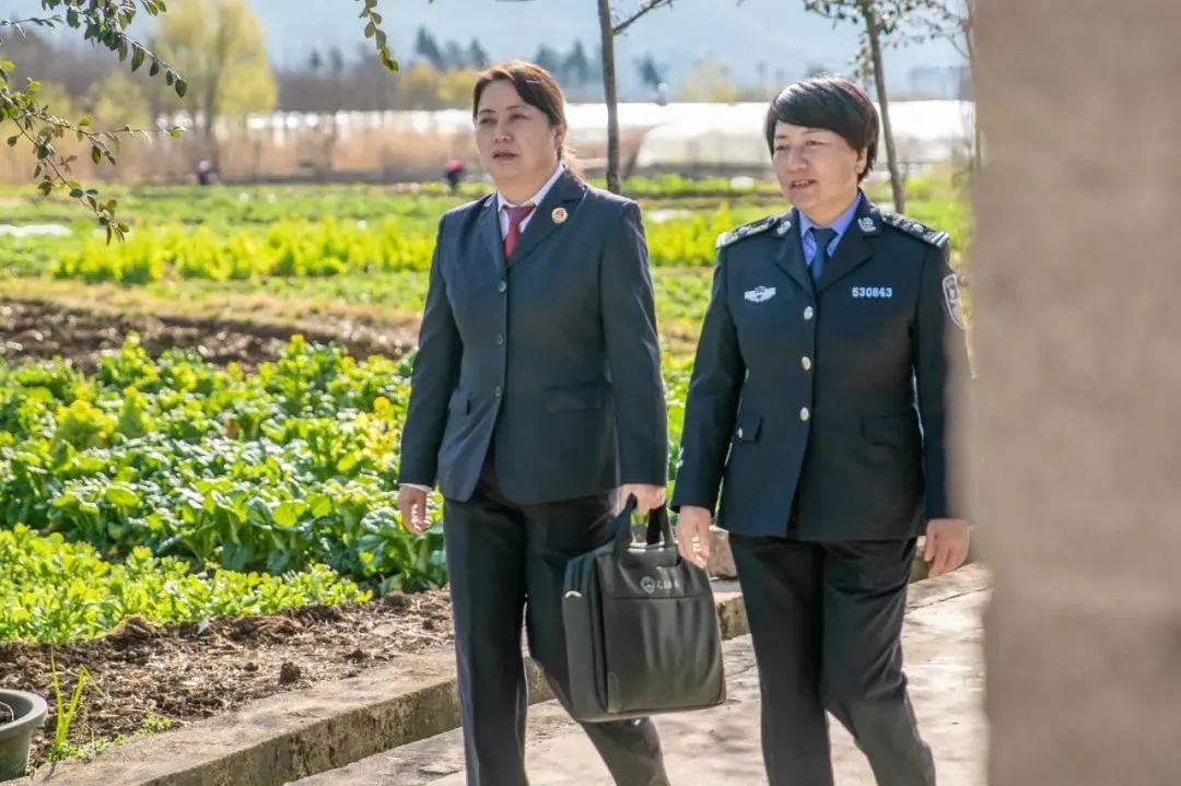澳门六合彩开奖结果走势图