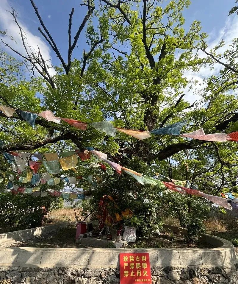 澳门六合彩开奖结果走势图