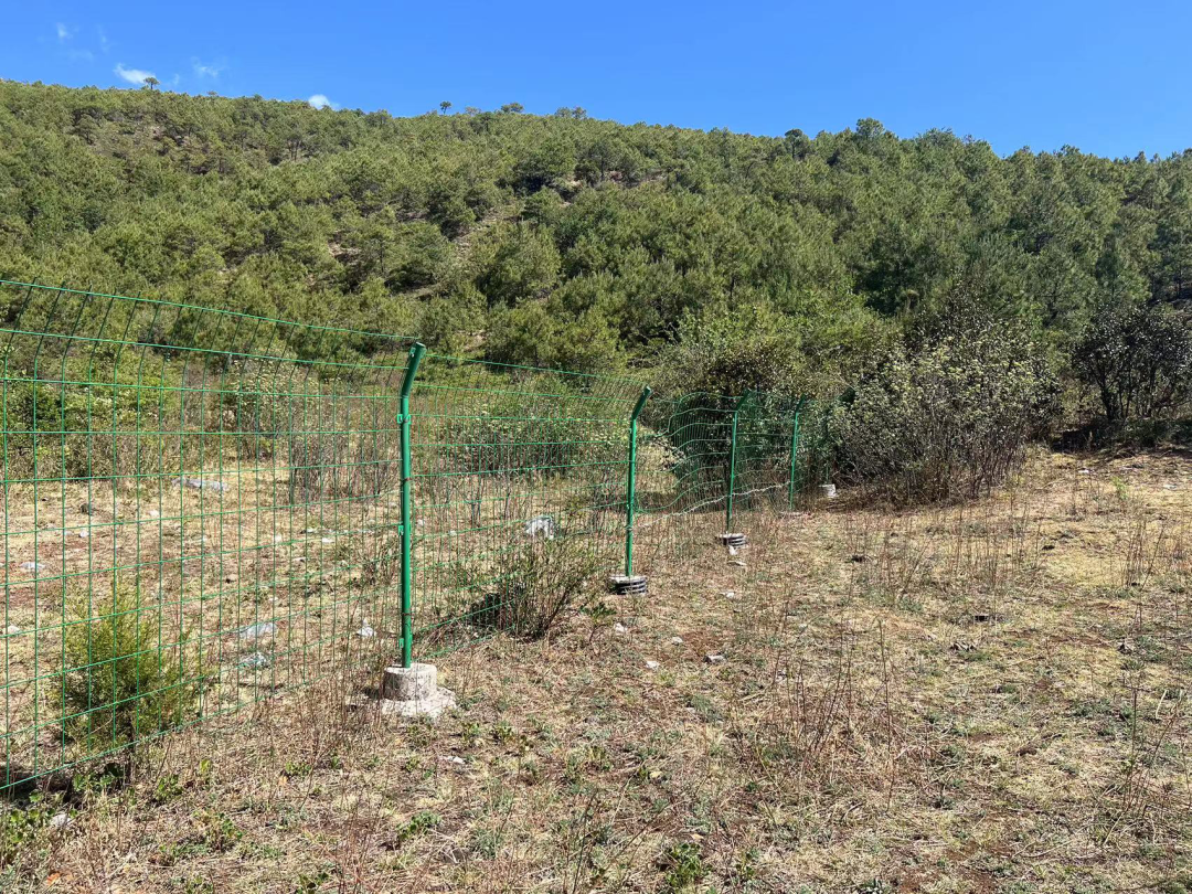 澳门六合彩开奖结果走势图