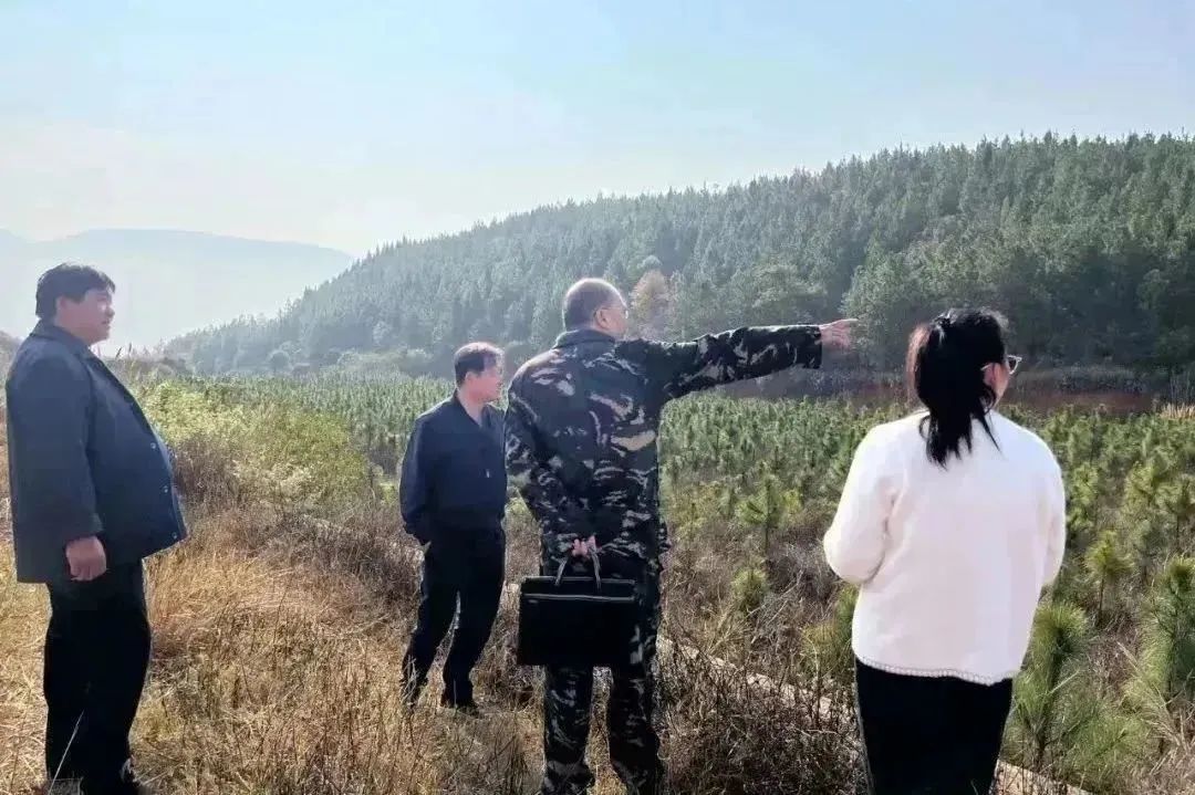 澳门六合彩开奖结果走势图