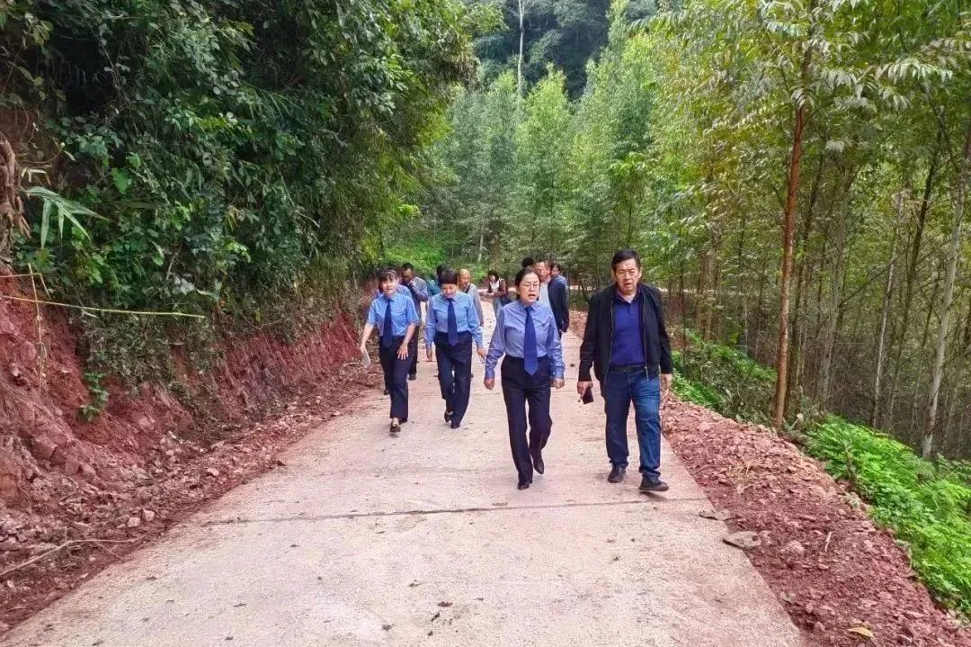 澳门六合彩开奖结果走势图