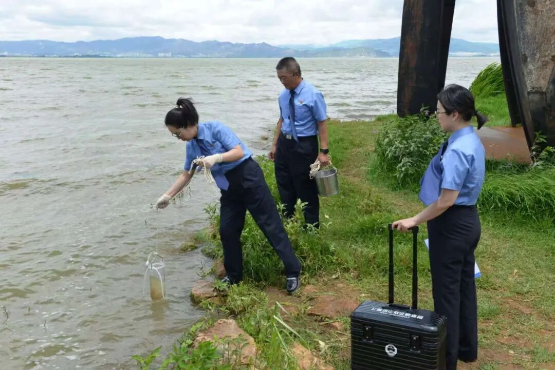 澳门六合彩开奖结果走势图