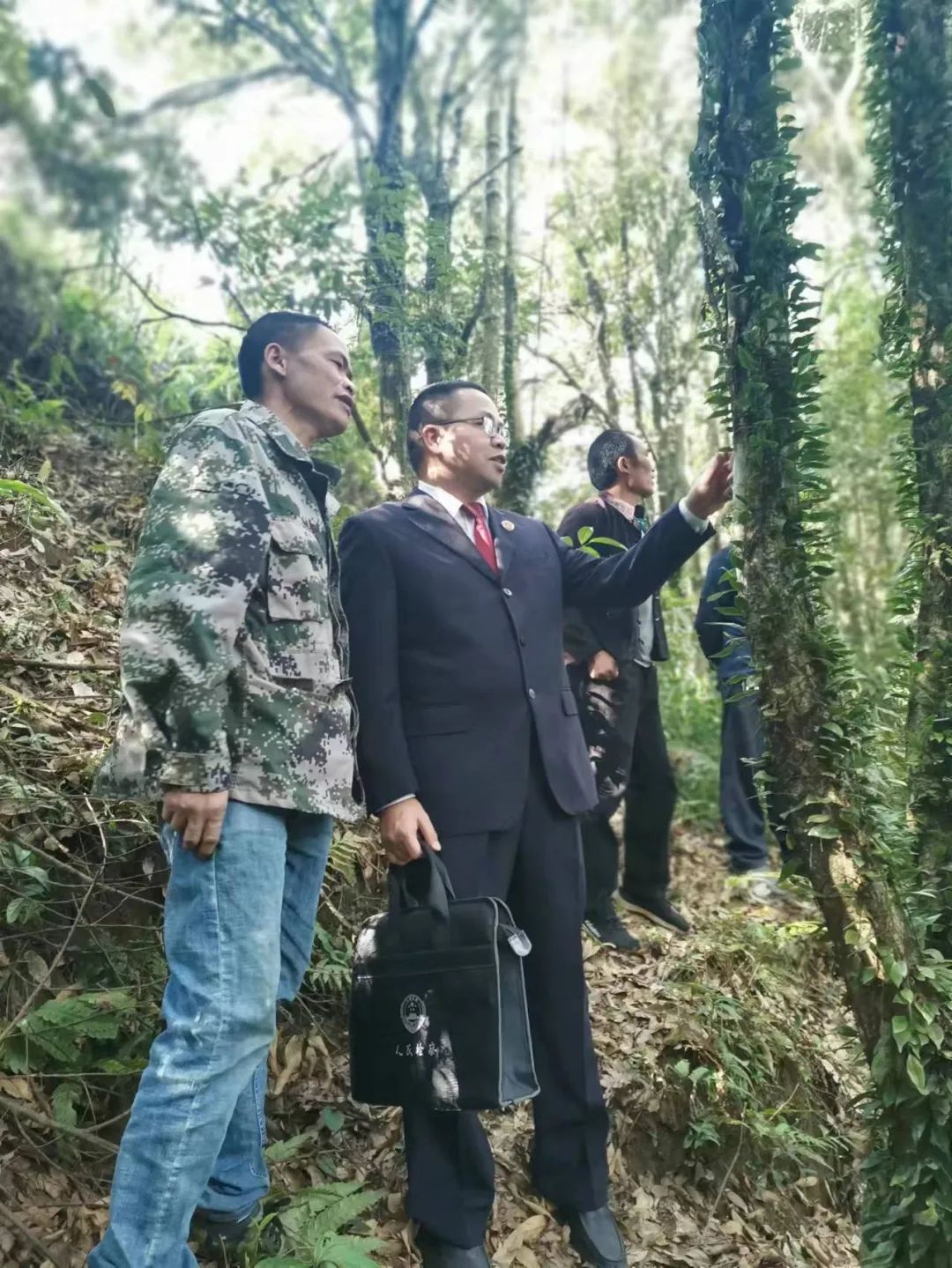 澳门六合彩开奖结果走势图