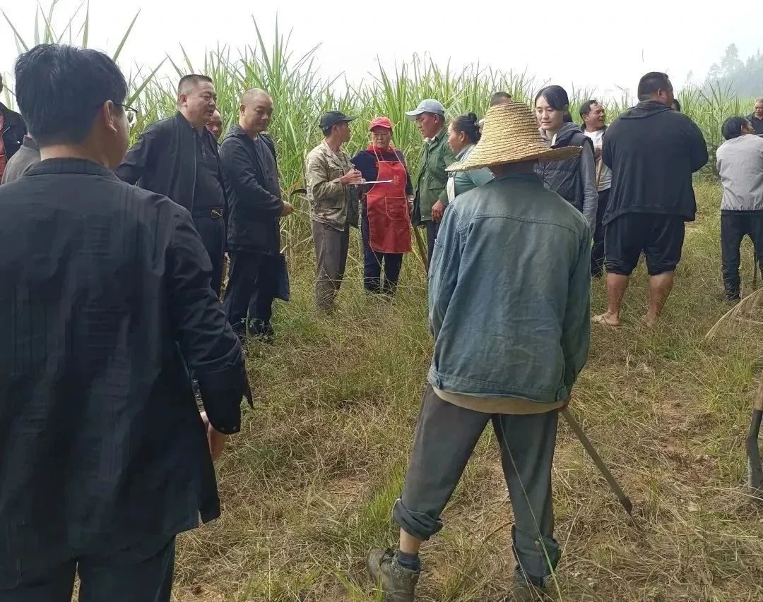 澳门六合彩开奖结果走势图