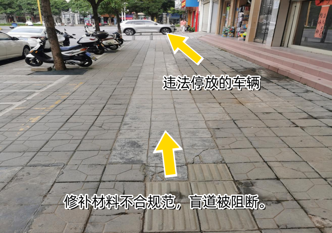 澳门六合彩开奖结果走势图