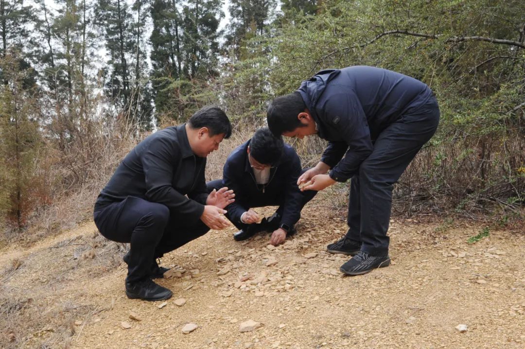 澳门六合彩开奖结果走势图