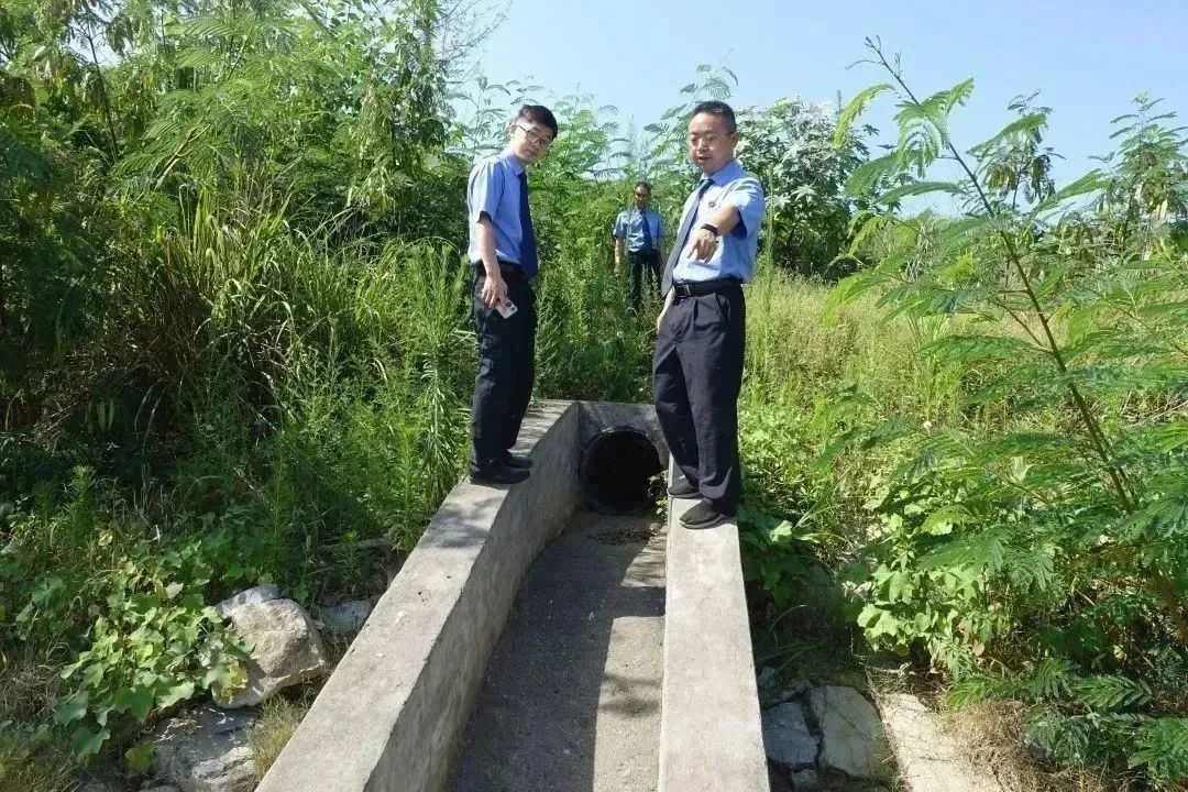 澳门六合彩开奖结果走势图