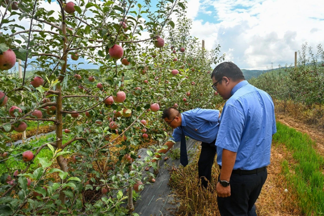 澳门六合彩开奖结果走势图