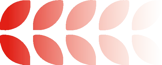 澳门六合彩开奖结果走势图