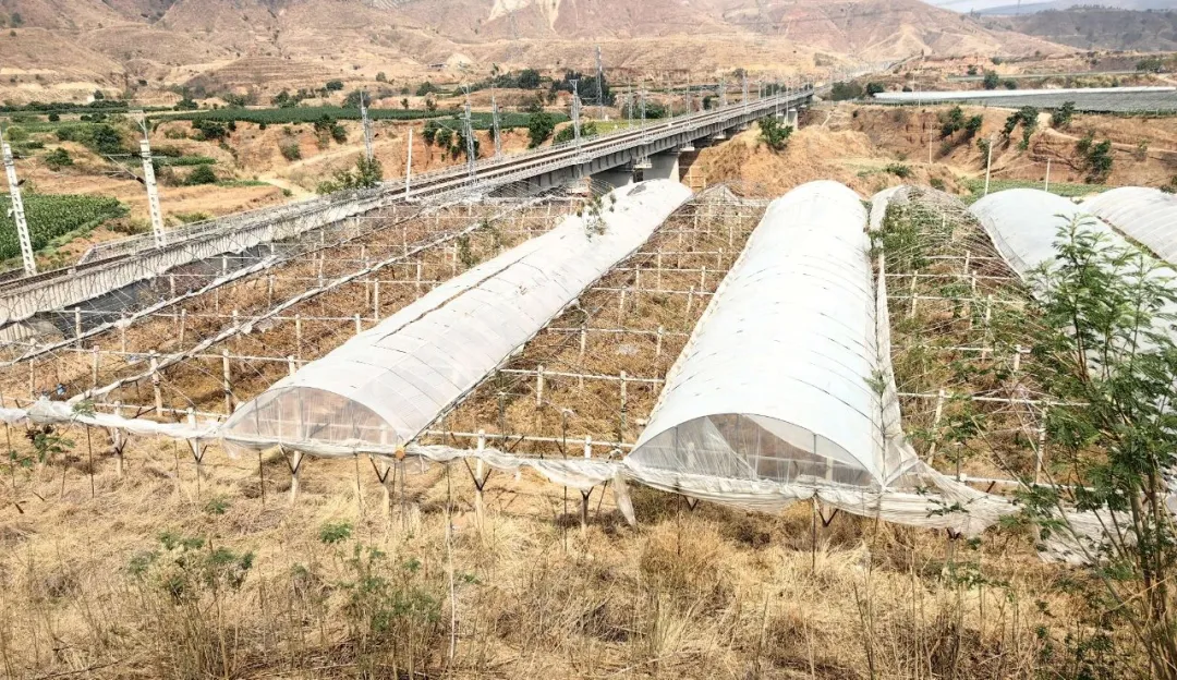 澳门六合彩开奖结果走势图