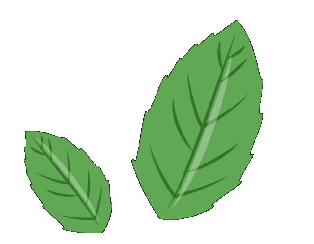 澳门六合彩开奖结果走势图