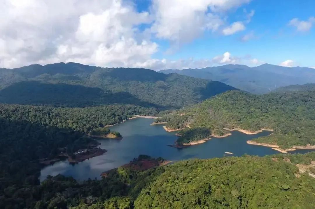 澳门六合彩开奖结果走势图