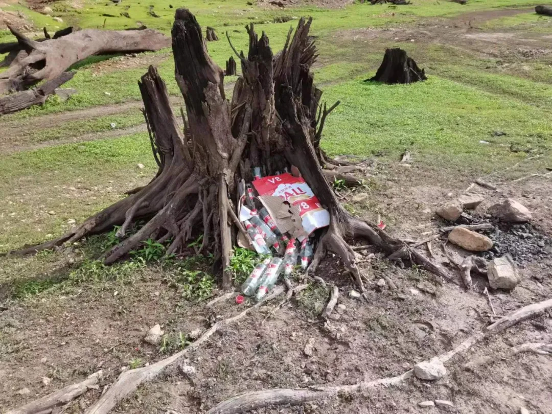 澳门六合彩开奖结果走势图