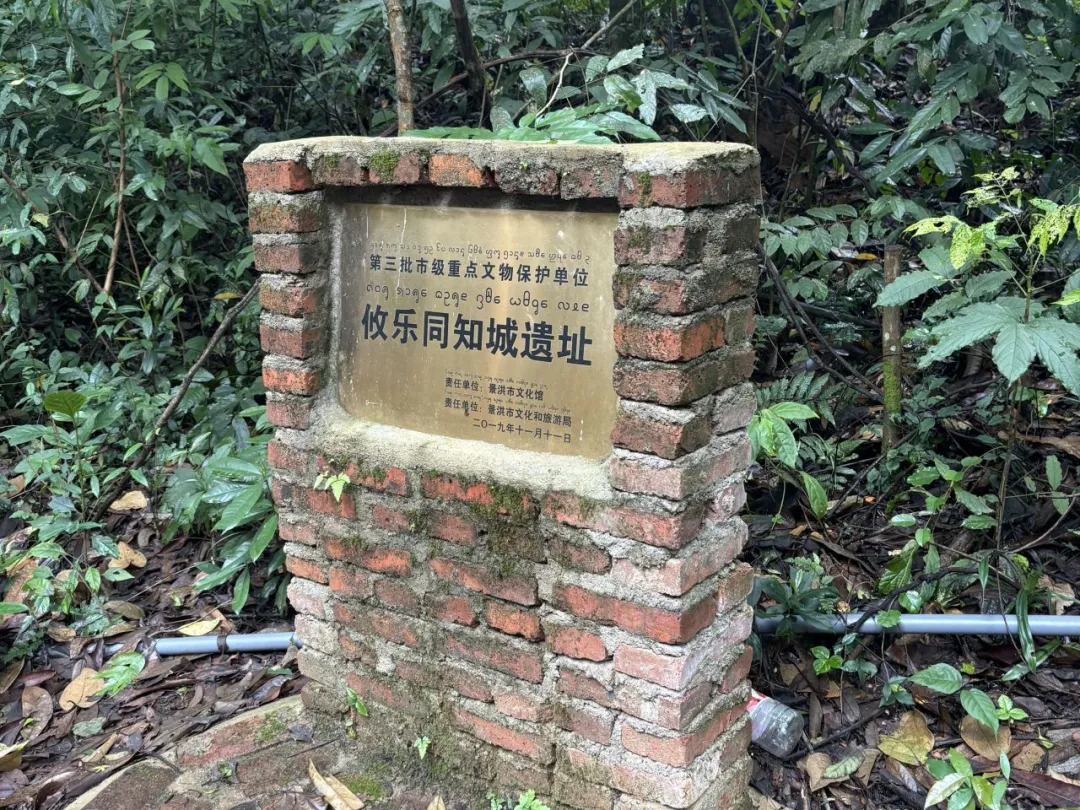 澳门六合彩开奖结果走势图